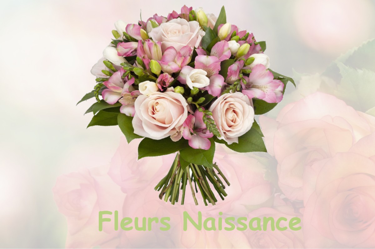 fleurs naissance MARTINCOURT-SUR-MEUSE